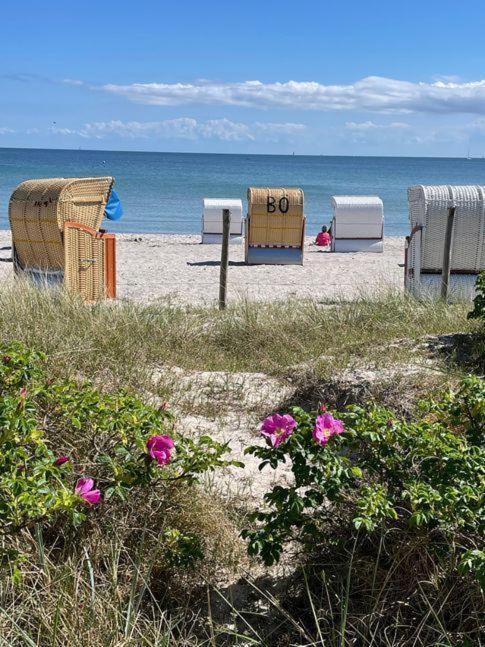Fewo-Mit-Terasse-U-Garten-Am-Golfplatz Wulfen auf Fehmarn Bagian luar foto